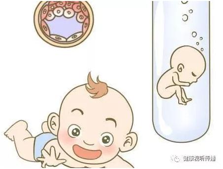 同性借卵代怀服务收费标准